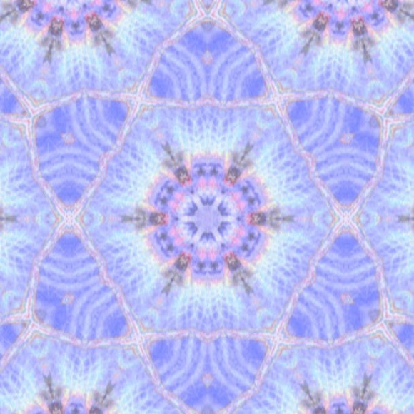 Meet your Posher, Nicole - Picture 1 of 1